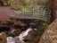river2.jpg