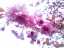 blossom4.jpg