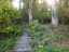 path1.jpg