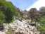 view3.jpg