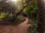 path1.jpg