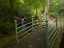 path3.jpg
