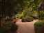 path4.jpg