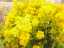 plants3.jpg