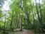 path1.jpg