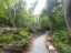 path8.jpg