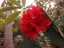 flowers13.jpg