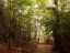 path2.jpg