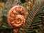 plants3.jpg