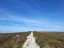 path3.jpg