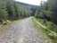 path8.jpg